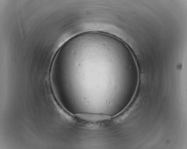 X0000091371521200708171534