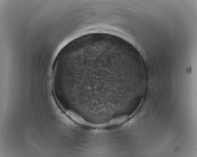 X0000091371522200708171534