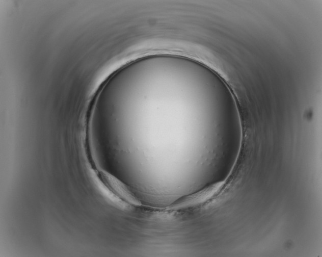 X0000091371523200708171534