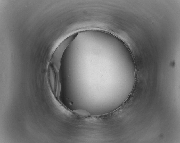 X0000091371524200708171534