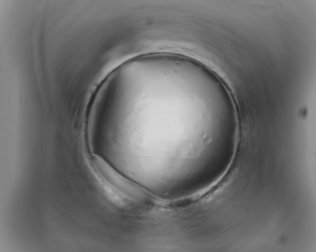 X0000091371525200708171534