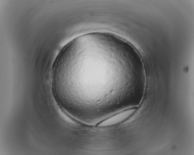 X0000091371526200708171534