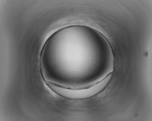 X0000091371527200708171534