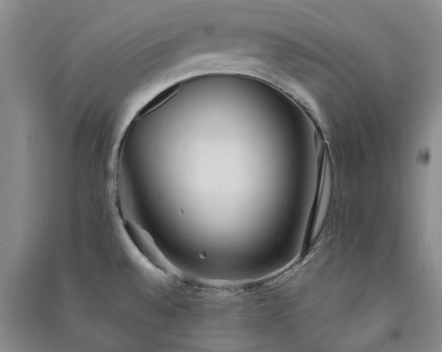 X0000091371528200708171534