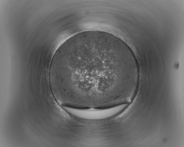 X0000091371529200708171534