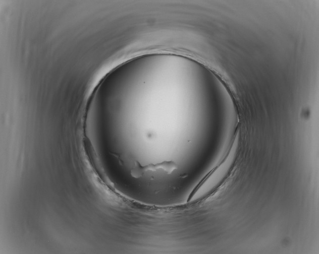 X0000091371530200708171534