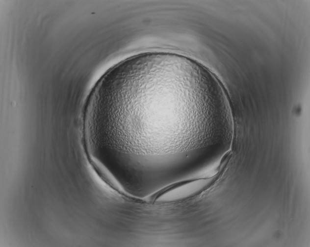 X0000091371531200708171534