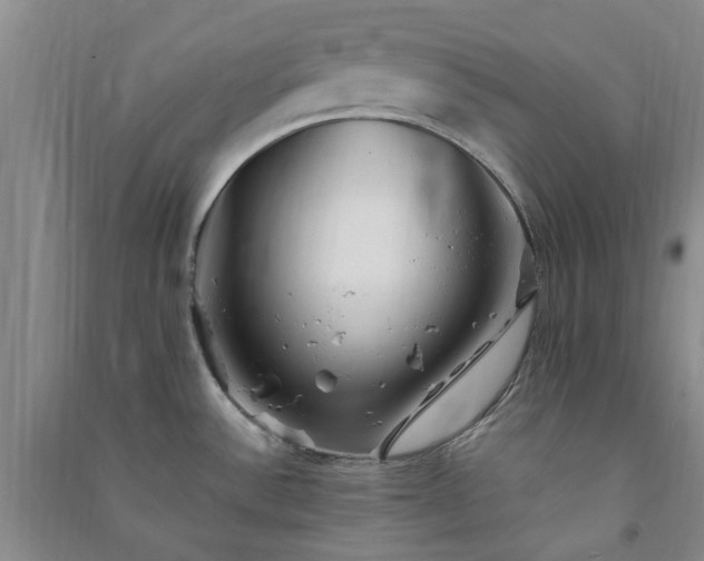 X0000091371532200708171534