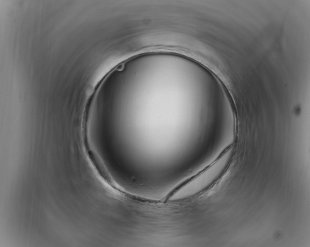 X0000091371533200708171534