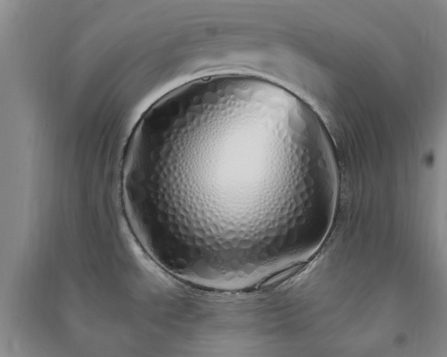 X0000091371534200708171534