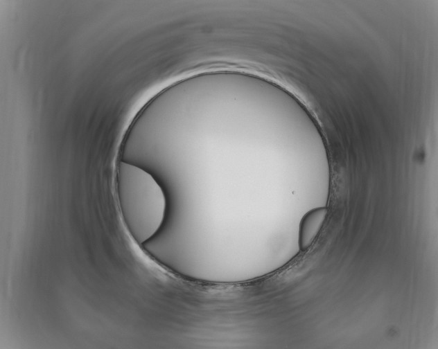 X0000091371535200708171534