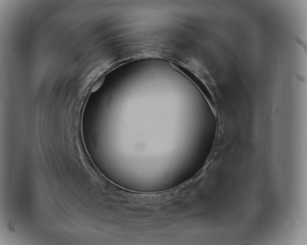 X0000091370001200708241344