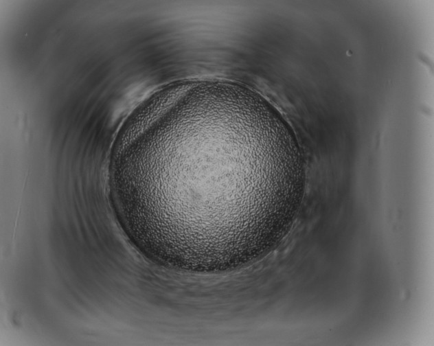 X0000091370002200708241344