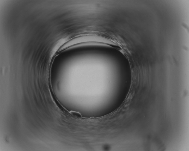 X0000091370003200708241344