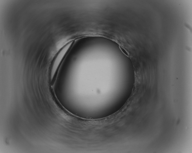 X0000091370005200708241344