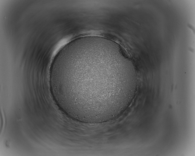 X0000091370006200708241344