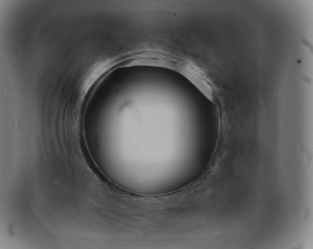 X0000091370007200708241344