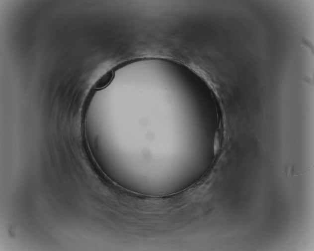 X0000091370008200708241344