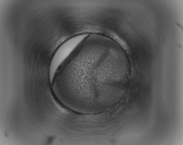 X0000091370009200708241344