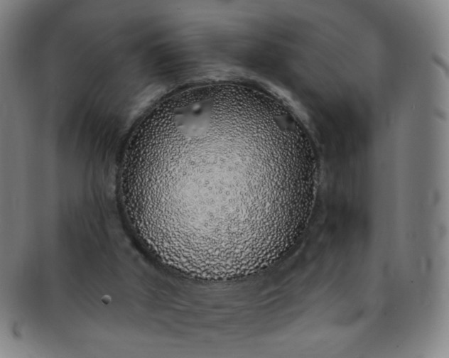 X0000091370010200708241344