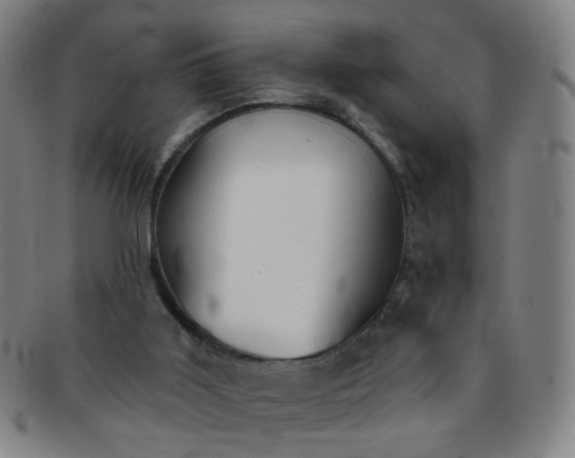 X0000091370011200708241344