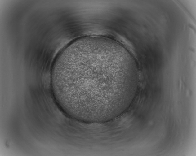 X0000091370012200708241344