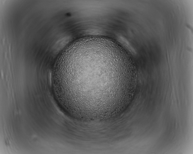 X0000091370014200708241344