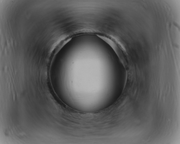 X0000091370015200708241344