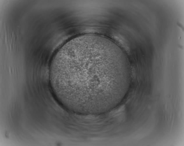 X0000091370016200708241344