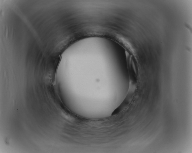 X0000091370017200708241344