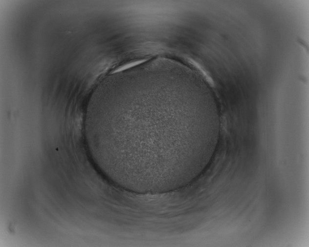 X0000091370018200708241344