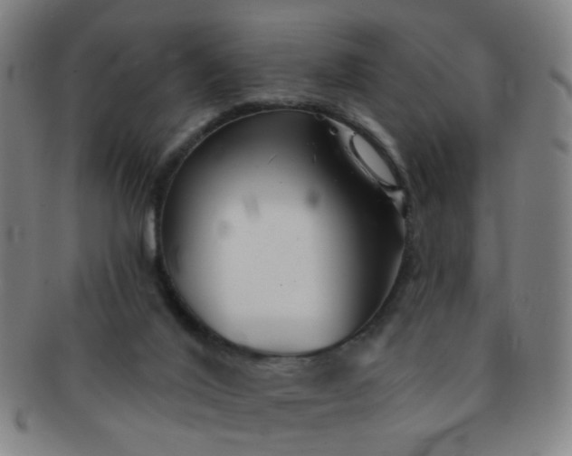 X0000091370020200708241344