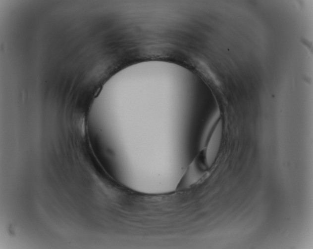 X0000091370021200708241344