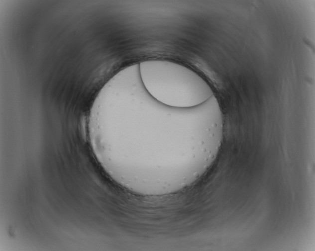 X0000091370022200708241344