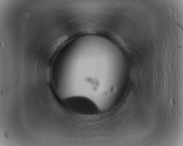 X0000091370023200708241344