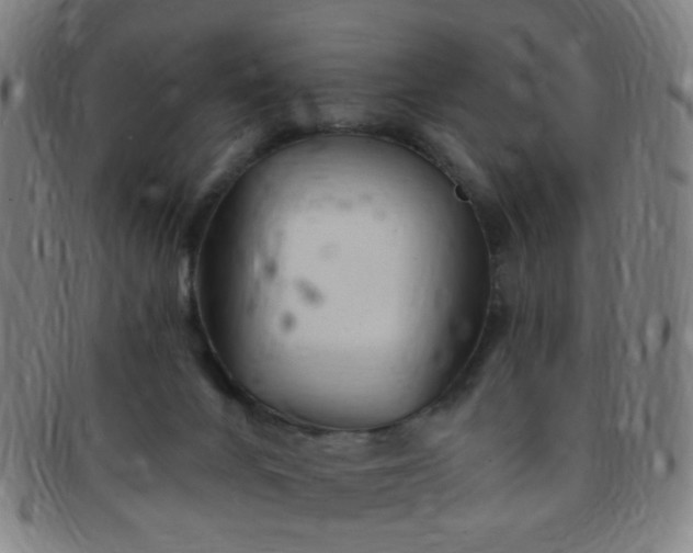 X0000091370024200708241344