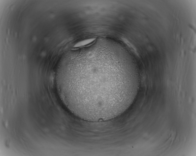 X0000091370026200708241344