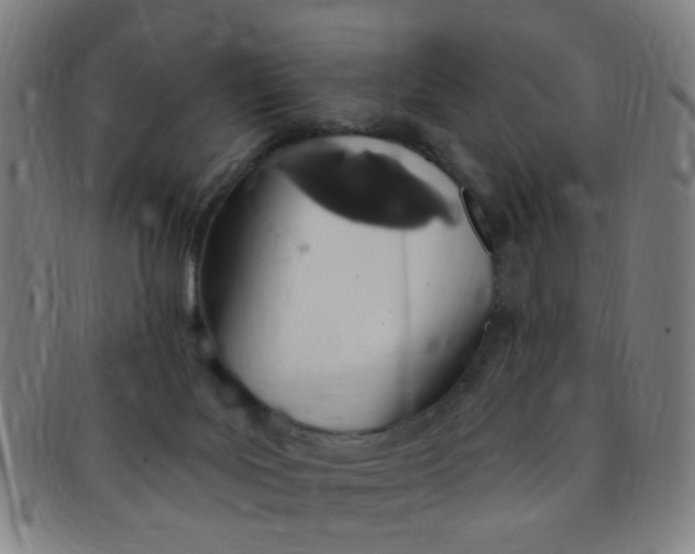 X0000091370027200708241344