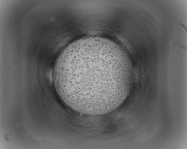 X0000091370028200708241344