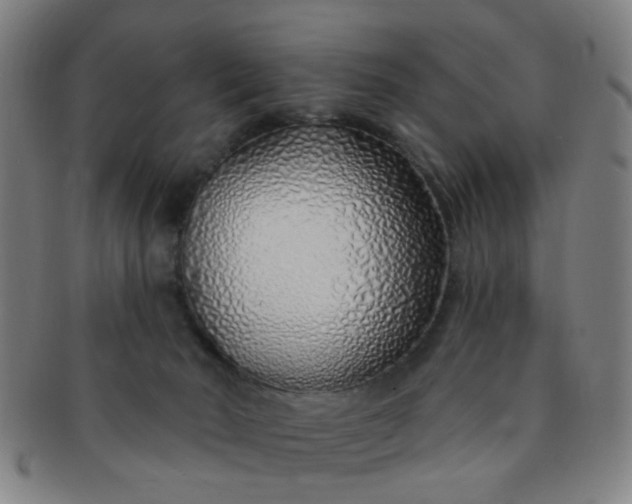 X0000091370030200708241344