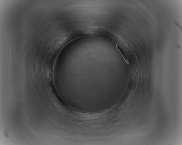 X0000091370031200708241344