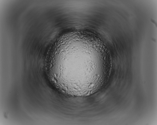 X0000091370032200708241344