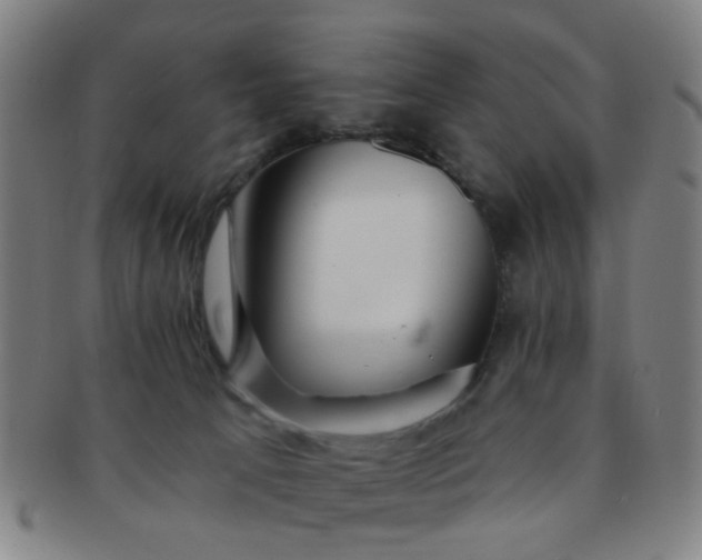 X0000091370033200708241344