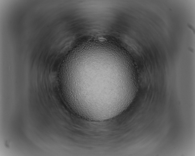 X0000091370034200708241344