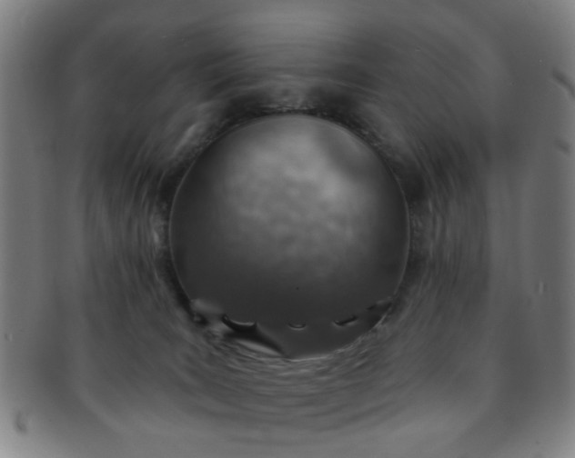 X0000091370035200708241344