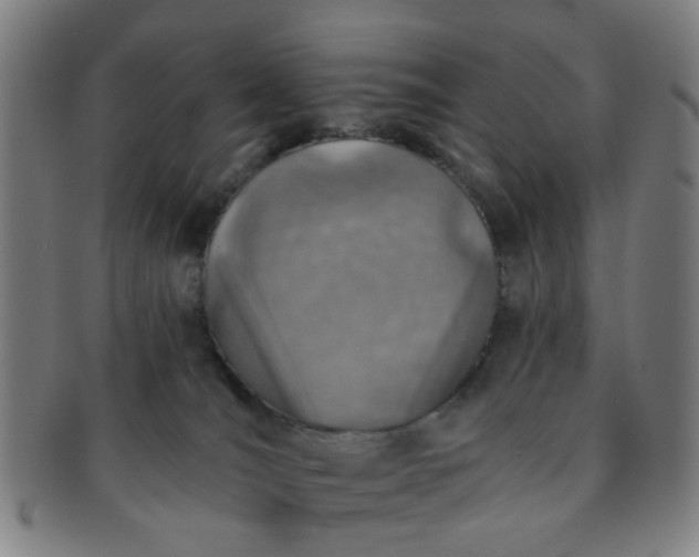 X0000091370036200708241344