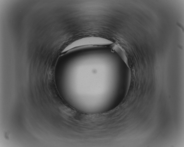 X0000091370037200708241344