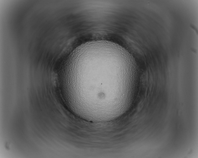 X0000091370038200708241344