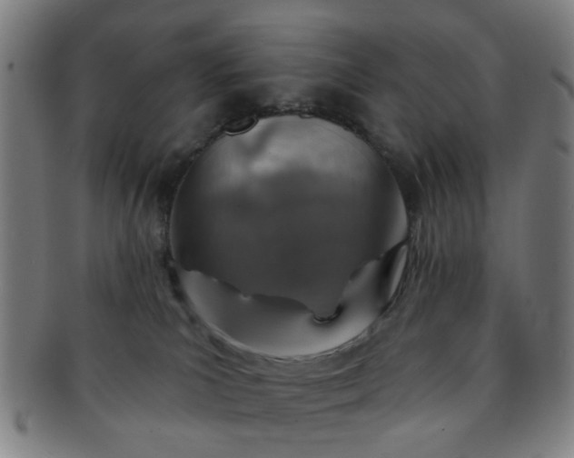 X0000091370039200708241344