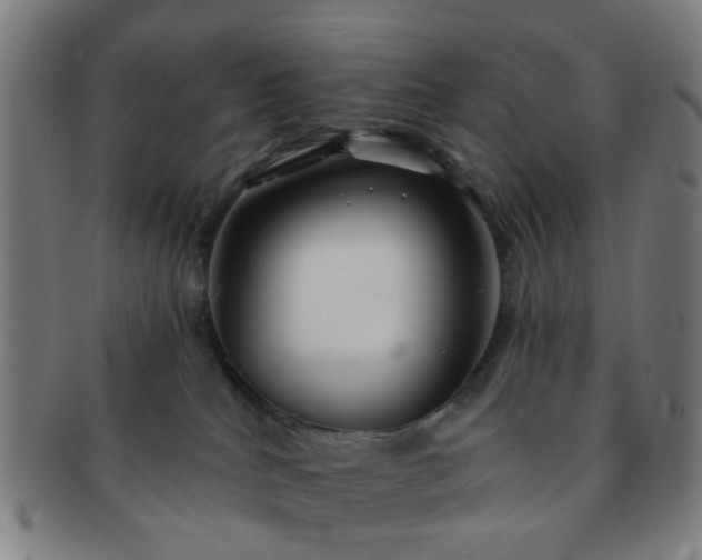 X0000091370040200708241344